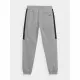 Adult Trousers 4F JSPMD002  Men