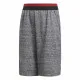 Children’s Sports Shorts Adidas Manchester United Dark grey