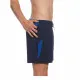 Men’s Bathing Costume Nike 5