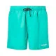 Men’s Bathing Costume Oakley Beach Volley 16