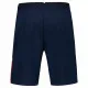 Men's Sports Shorts Le coq sportif Tri Regular N°1 Sky  Blue