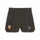 Men's Sports Shorts Puma Vcf S Replica 
