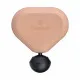Massager Therabody TG02451-01