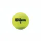 Pelotas de Tenis Wilson Championship XD  (3 pcs)