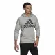Men’s Hoodie Adidas  Essentials Fleece Big Logo Grey