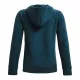 Sudadera con Capucha Niño Under Armour Rival Fleece Hoodie Cian