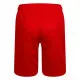 Sport Shorts for Kids Nike Essentials  Red