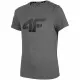 Camiseta de Manga Corta Niño 4F JTSMF001  Gris