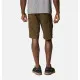 Sports Shorts Columbia Silver Ridge  Moutain