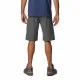 Sports Shorts Columbia Silver Ridge  Moutain Dark grey