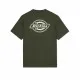 Short Sleeve T-Shirt Dickies Holtville  Green Men