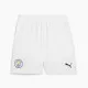 Adult Trousers Puma Manchester City 24/25 Men
