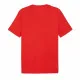 Camiseta Deportiva de Manga Corta Puma GRAPHICS Summer por For All Time
