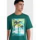 Men’s Short Sleeve T-Shirt O'Neill Jack Neon Living Light Green