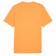Camiseta de Manga Corta Hombre Puma Graphics Mountain e Clementine  Naranja