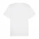 Camiseta de Manga Corta Hombre Puma  GRAPHICS Summer