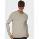 Sudadera sin Capucha Hombre Only & Sons wyler Life Reg 14Crew