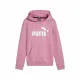 Sudadera con Capucha Niña Puma Essentials + Logo Fl G