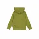 Men’s Hoodie Champion Green