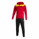Tracksuit for Adults Joma Sport PhoenIX II Red Children's Men 2 Pieces