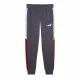 Long Sports Trousers Puma Power Colorblock Men