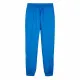 Football Training Trousers for Adults Puma 774055 19 Men