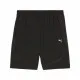 Men's Sports Shorts Puma Flex 7