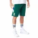 Sports Shorts New Era NBA Milwaukee Bucks Green