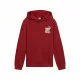 Sudadera con Capucha Niño Puma Essentials+ Mid 90S