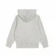 Men’s Hoodie Champion Light grey