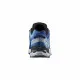 Men's Trainers Salomon XA Pro 3D V9 Blue