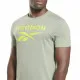 Camiseta Reebok Identity Big Logo Gris