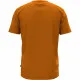 Camiseta de Manga Corta Hombre Puma Daily 3.0 Naranja Oscuro