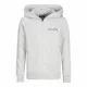Sudadera con Capucha Niño Jack & Jones Jjalvis