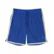 Men's Sports Shorts Nike Slam Blue