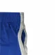 Men's Sports Shorts Nike Slam Blue