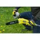 Extendable electric pruner Ryobi 36 V 25 cm 15º