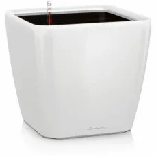 Maceta Lechuza Ø 50 cm Blanco Plástico Rectangular