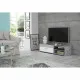 Mueble de TV Gris claro (120 x 42,1 x 31,8 cm)