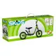 Bicicleta Infantil Skids Control Verde Acero Reposapiés