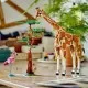 Playset Lego 31150 Creator Wild Animal Safari