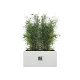 Plant pot Elho 59 x 30 x 29 cm White Plastic Rectangular Modern