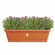 Plant pot Elho Brown 65 x 20 x 18 cm Plastic Squared