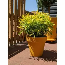 Plant pot Riviera Yellow Ø 60 cm