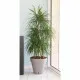 Plant pot Riviera Brown Taupe polypropylene Plastic Circular Ball Ø 50 cm