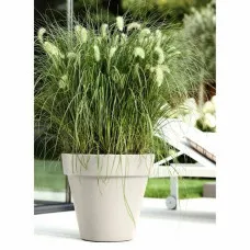 Plant pot Elho