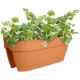 Maceta Elho Vibia Campana Flower Bridge 60 Marrón 26 x 59 x 22 cm