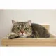 Cama para Gato Kerbl TIMBER Beige