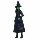 Muñeca Mattel Elphaba