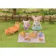Playset Sylvanian Families 5698 Pícnic